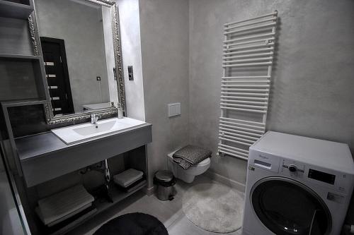 La salle de bains est pourvue d'un lavabo, de toilettes et d'un miroir. dans l'établissement Apartament Diana, à Târgu-Mureş