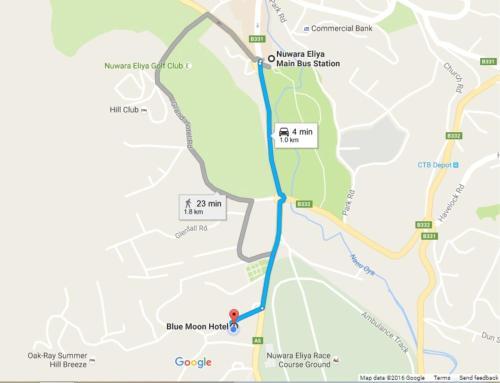 a map of the city of dubai with a red dot at Blue Moon Hotel in Nuwara Eliya