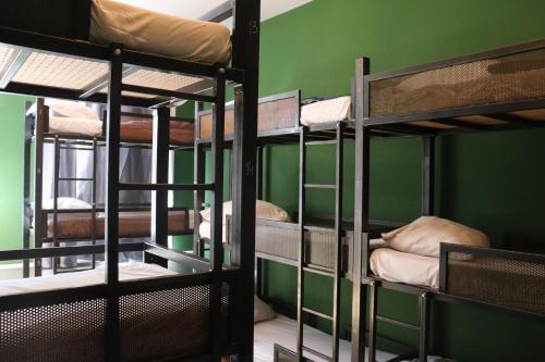 grupa łóżek piętrowych w pokoju zielonym w obiekcie Amsterdam Hostel Annemarie w Amsterdamie