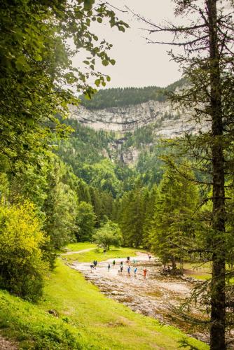 a group of people walking down a river in a forest at L'imprévu in Vaulnaveys-le-Bas