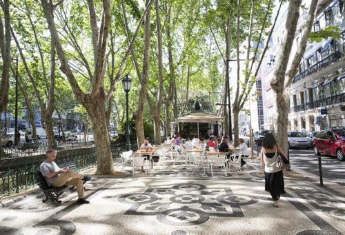 Sunny, central and comfy Ap. in Av. da Liberdade