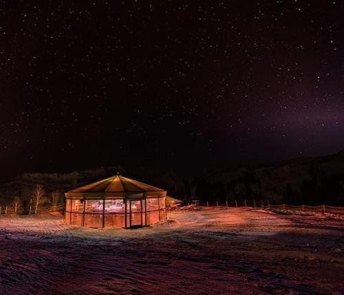 a wooden gazebo in a field at night at Hotel Walisgaden superior in Damuls