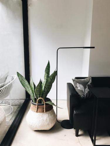 a plant in a white pot in a living room at Lloyd's Inn Bali in Seminyak