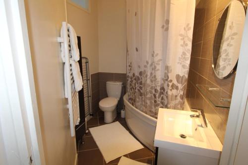 La salle de bains est pourvue de toilettes, d'un lavabo et d'une douche. dans l'établissement L'Emeraude, à Saint-Malo