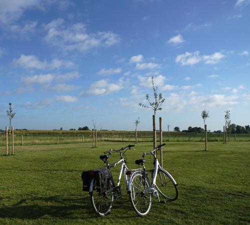 two bikes parked next to each other in a field at B&B Ten Doele in Middelkerke