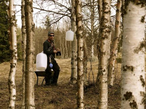 a man holding a camera in a forest with trees at Stora Björnstugan in Laisvall