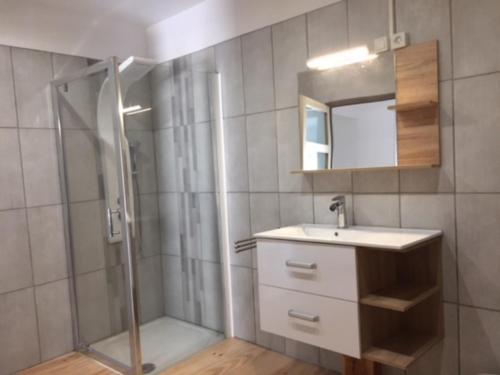 La salle de bains est pourvue d'une douche, d'un lavabo et d'un miroir. dans l'établissement Domaine Les Roches, à Villeneuve-Minervois
