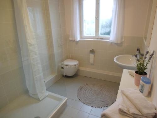 a bathroom with a toilet and a sink at Ferienwohnung am Schloss in Karlsruhe