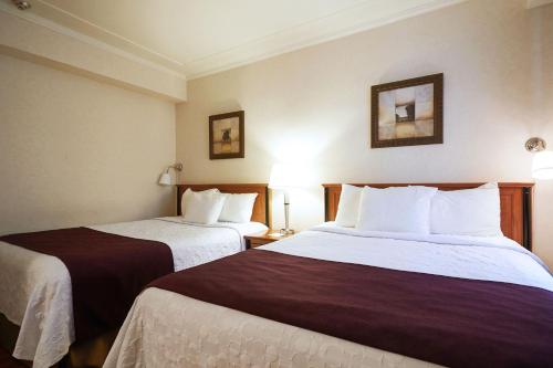 Hotel St-Denis Image
