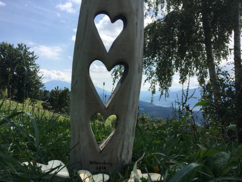 a heart carved into a tree stump in the grass at Bergbauernhof Stauder - Hirschbergalpakas in Lendorf