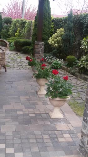 Jardín al aire libre en Adonis