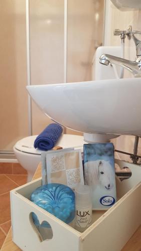 une salle de bain blanche avec un lavabo et des toilettes dans l'établissement Ferienwohnung Apres Ski, à Schruns