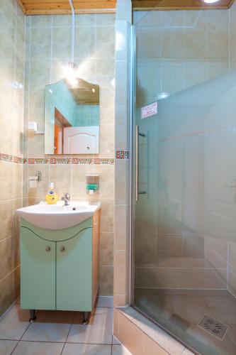 a bathroom with a sink and a shower at Raza Soarelui Pension in Praid