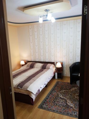 a bedroom with a bed and a chair and a rug at Near center in Petroşani