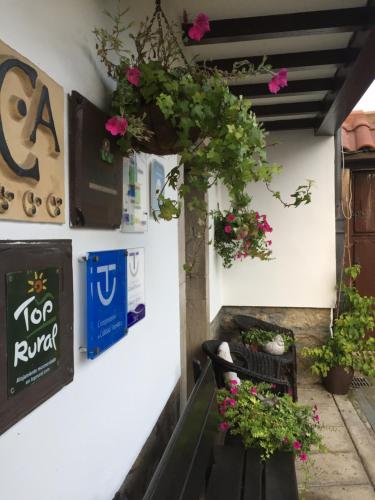 un patio con flores y plantas en una pared en La Casona de Benito, en Cudillero