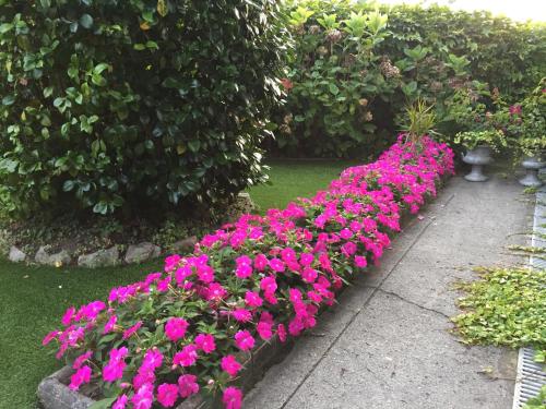 una fila de flores rosas en un jardín en La Casona de Benito en Cudillero