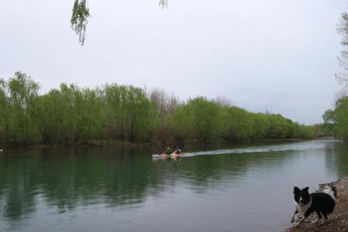 a man and a dog on a boat on a river at Limay Bed&Breakfast in Neuquén
