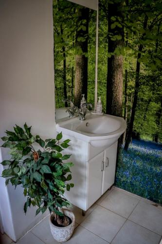 a bathroom with a sink and a potted plant at Huys ten Bosch in Potchefstroom