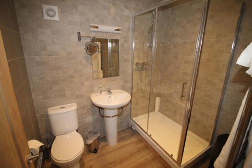 a bathroom with a shower and a toilet and a sink at Number 18 Apartments in Exeter