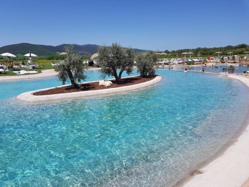 a swimming pool with trees in the middle of the water at Tuscania Terme Suites Apartments in Tuscania