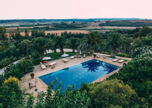 an overhead view of a swimming pool with palm trees at Borgo Valle Rita in Ginosa Marina