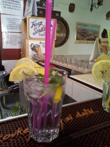 a drink in a glass with a pink straw at Penzion Pomodoro in Vrbno pod Pradědem