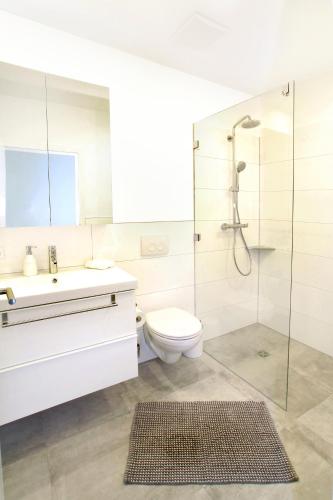 a white bathroom with a toilet and a shower at Ferienwohnung Roxana - am Bodensee in Friedrichshafen
