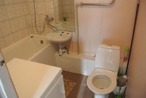 a small bathroom with a toilet and a sink at Tuba in Narva