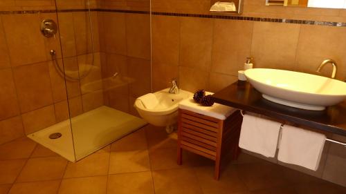 a bathroom with a sink and a toilet and a shower at Apparthotel Maier in Soprabolzano