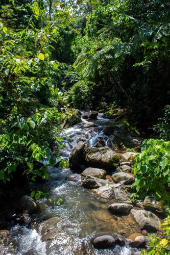 a stream of water with rocks in a forest at Argovia Ecolodge in Tapachula