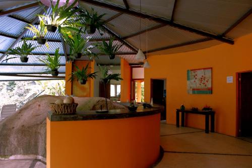 a room with plants hanging from the ceiling at Argovia Ecolodge in Tapachula