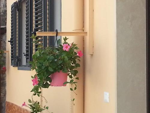 a potted plant on the side of a window at Casa del Principe in Ottaviano