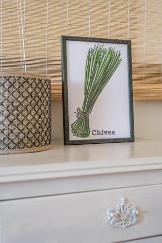 a picture of onions sitting on a white shelf at Quinta da Paz B&B in Portimão