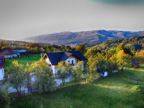 Příroda nedaleko farmy