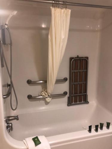 a bath tub with a shower and a curtain at Fireside Lodge in Big Bear Lake