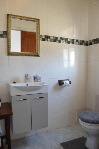 a bathroom with a sink and a toilet and a mirror at Villelodge Accommodation in Lüderitz