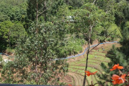 a view of a garden with a river in the distance at Lilara Hills - Diyatalawa in Diyatalawa