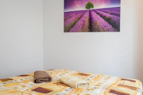 1 cama con toallas y una foto de un campo de lavanda en Peaceful Bialystok, en Białystok