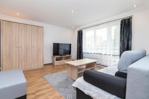a living room with a couch and a tv at Peaceful Bialystok in Białystok