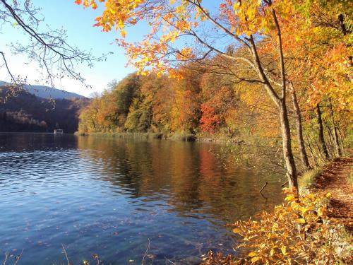 PLITVICE LAKES KONAK Daic – Photos 5