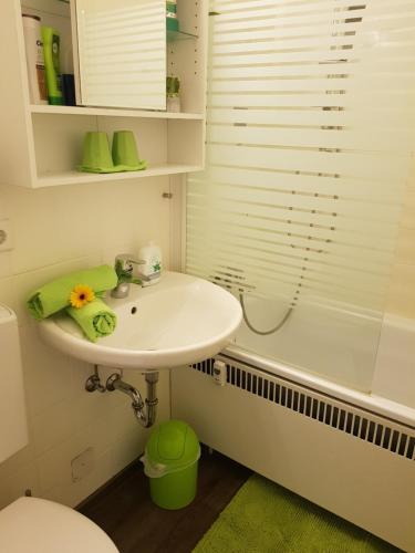 a bathroom with a white sink and a shower at Nürnberg Apartment 2 in Nuremberg