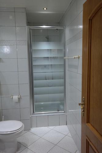 a bathroom with a glass shower with a toilet at VillaMirage in Tarnowskie Góry