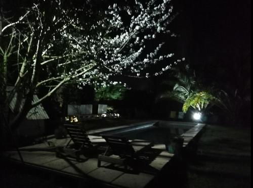 a group of picnic tables under a tree at night at Parcela 9 Nehuen in Talagante