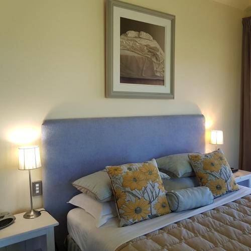 a bedroom with a bed with a blue headboard and pillows at Hawkdun Rise Vineyard & Accommodation in Alexandra