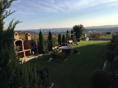 a grassy yard with a grill and a dog in the yard at Wineyards Salin in Turda