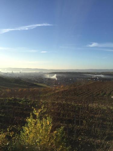 a view of a field with smoke in the distance at Wineyards Salin in Turda