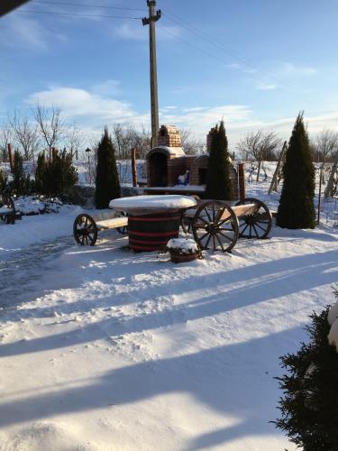 a horse drawn carriage parked in the snow at Wineyards Salin in Turda