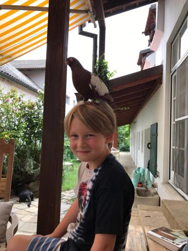 a young boy with a bird on top of his head at Gute Stube in Weiden am See