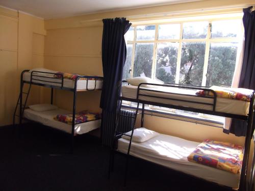 two bunk beds in a room with a window at Archies Bunker Affordable Accommodation in Napier