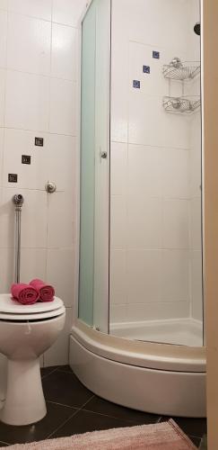 a bathroom with a toilet and a glass shower at Apartman Gobac in Karlovac